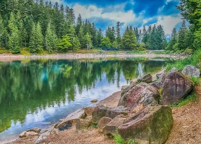 Campsite Confortable Avec Terrasse - 4 Personnes - Api-1-52-923 Bruyeres